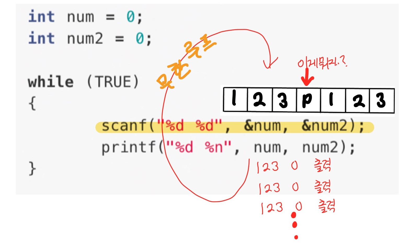 [C]scanf & sscanf · KirKim