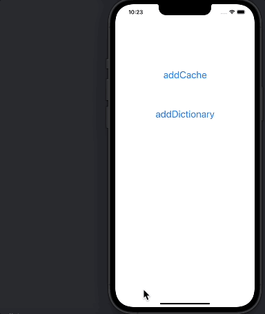 dictionary error1
