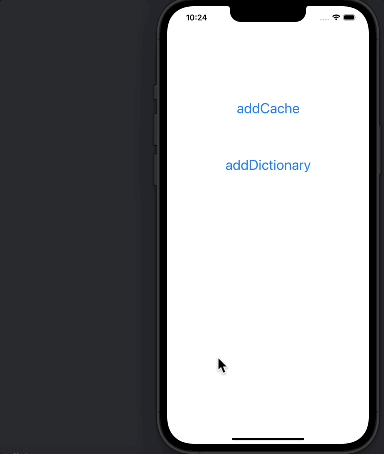 dictionary error2